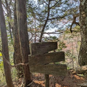 大竜頭、ここも眺望無し
この先に展望スポットがあるのかな？
かなり下りそうなのでやめた。