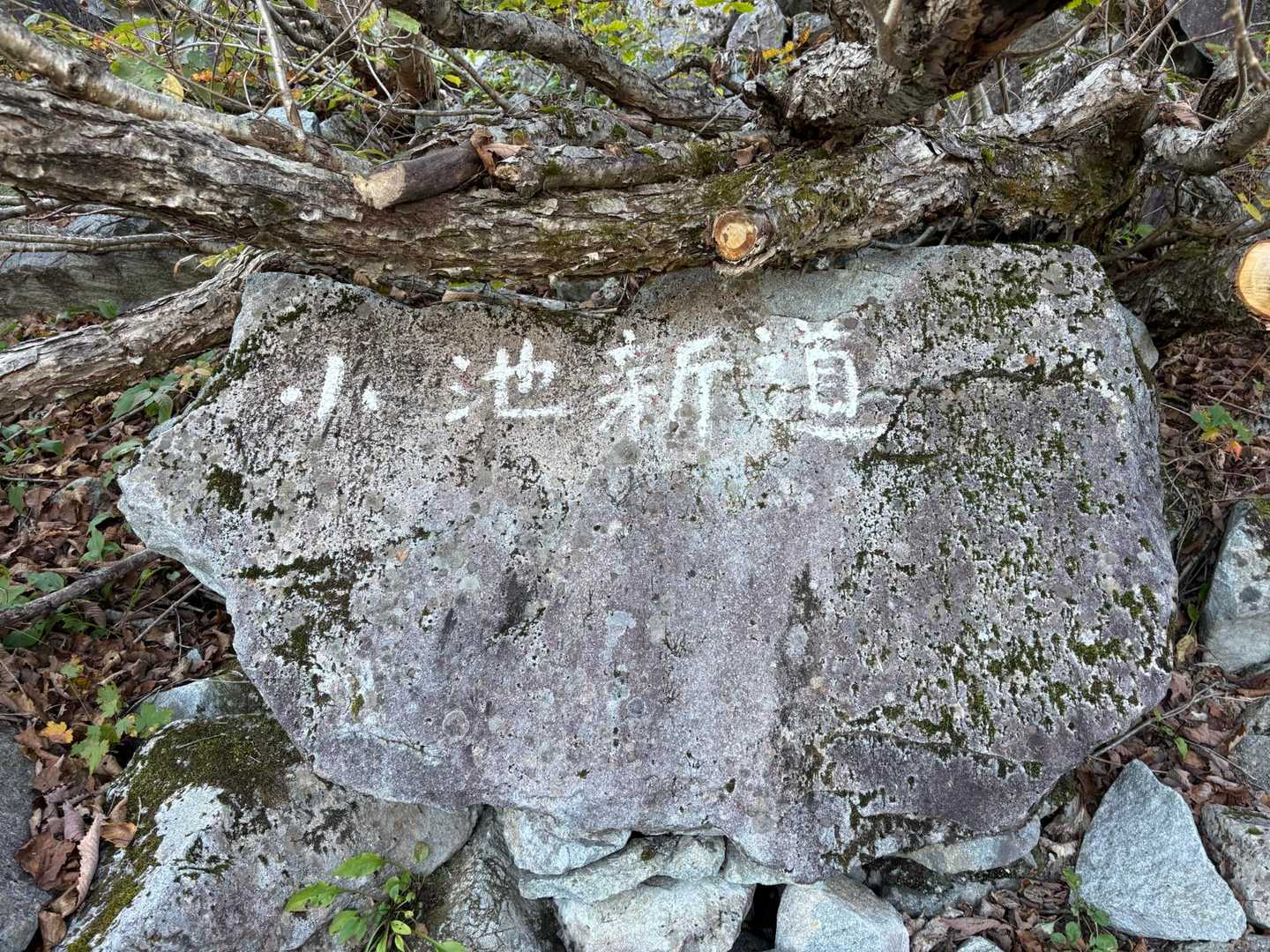 此処は小池新道だぜぃ👍🏼