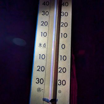 朝の気温は7℃。せいちゃん震えながら寝てました。