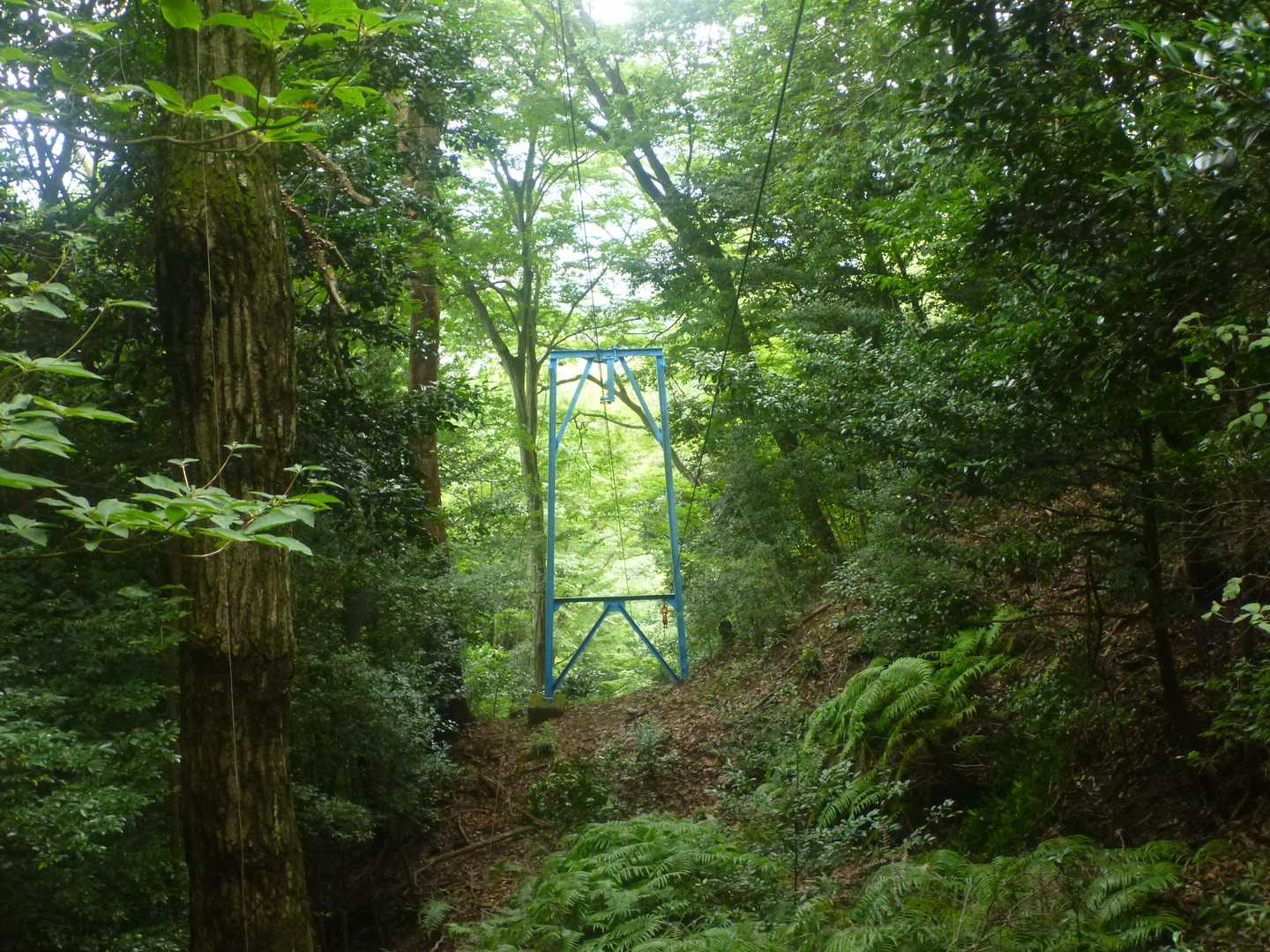 火床まで続く索道。
これで護摩木を運ぶ