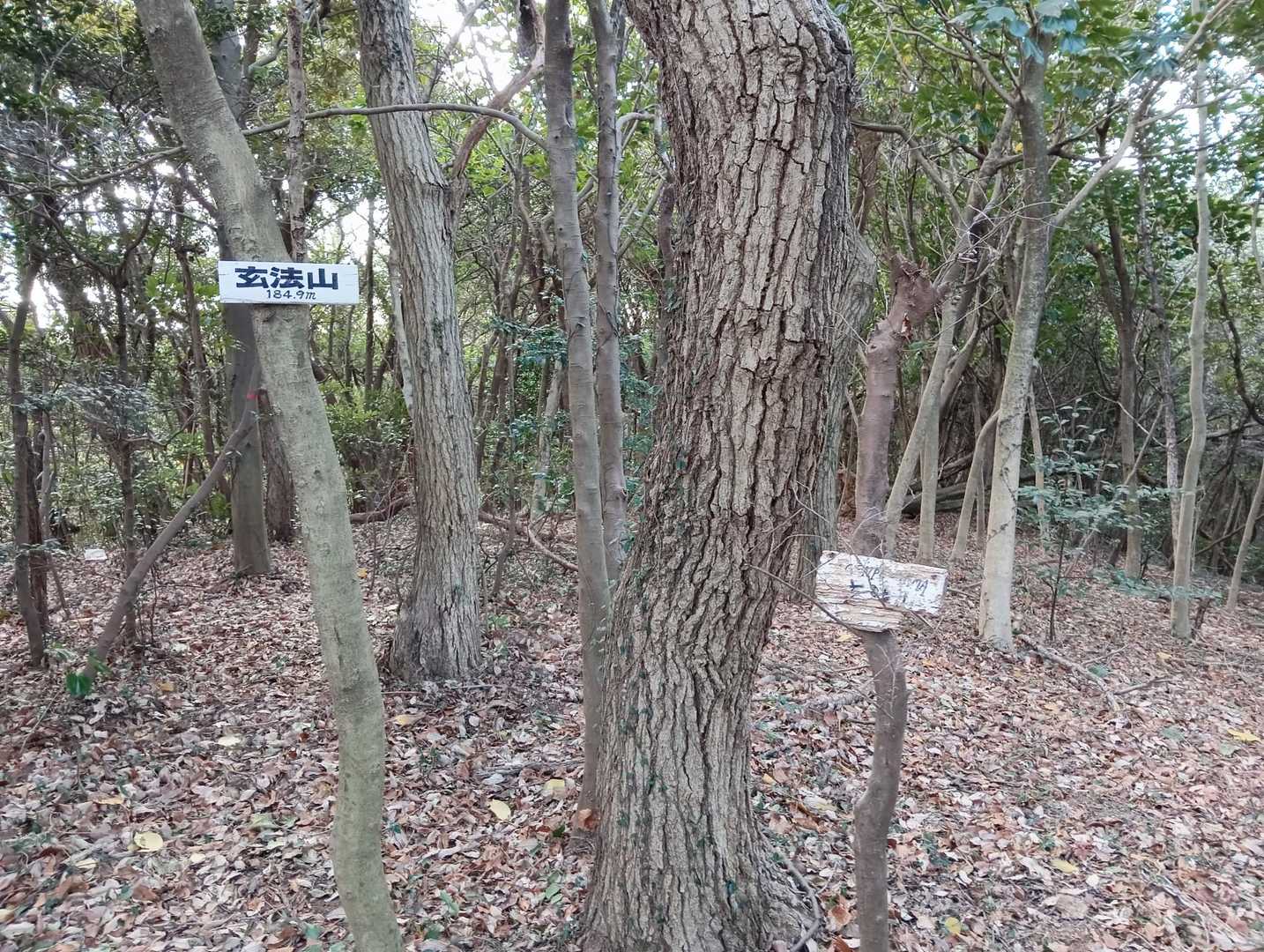 玄法山山頂に😃
