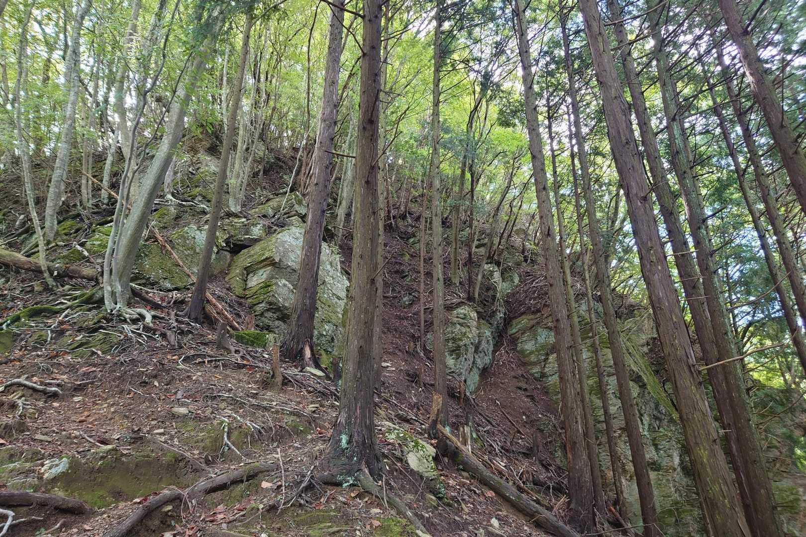 まだまだ急登は続きます