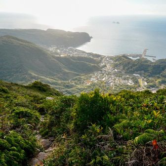 まさに天上から降りる階段ですね。