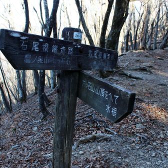 六ツ石山へ寄り道します。