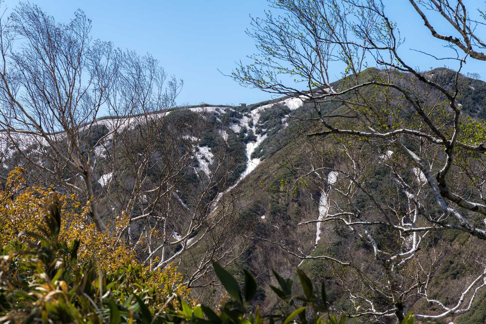 やっとこ稜線が見えて山小屋の姿を捉える🛖
