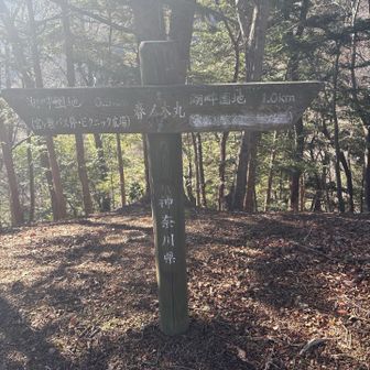 マイナーなルートのようで道中は枯葉で見えず、踏み跡もおぼろげ