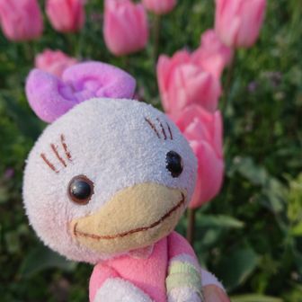 まぶちゃん(でゅ〜副隊長)