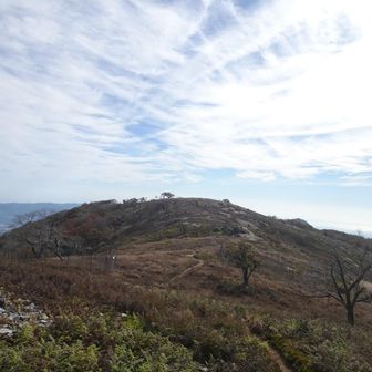 奥の平へ続く登山道、いい感じ👍