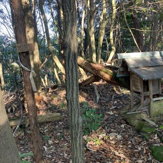 祠の横にプレート、小さいし、周囲の色に溶け込んでます。