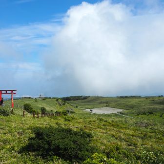 風さえ強くなければ広くて気持ちいいんですけどね・・・