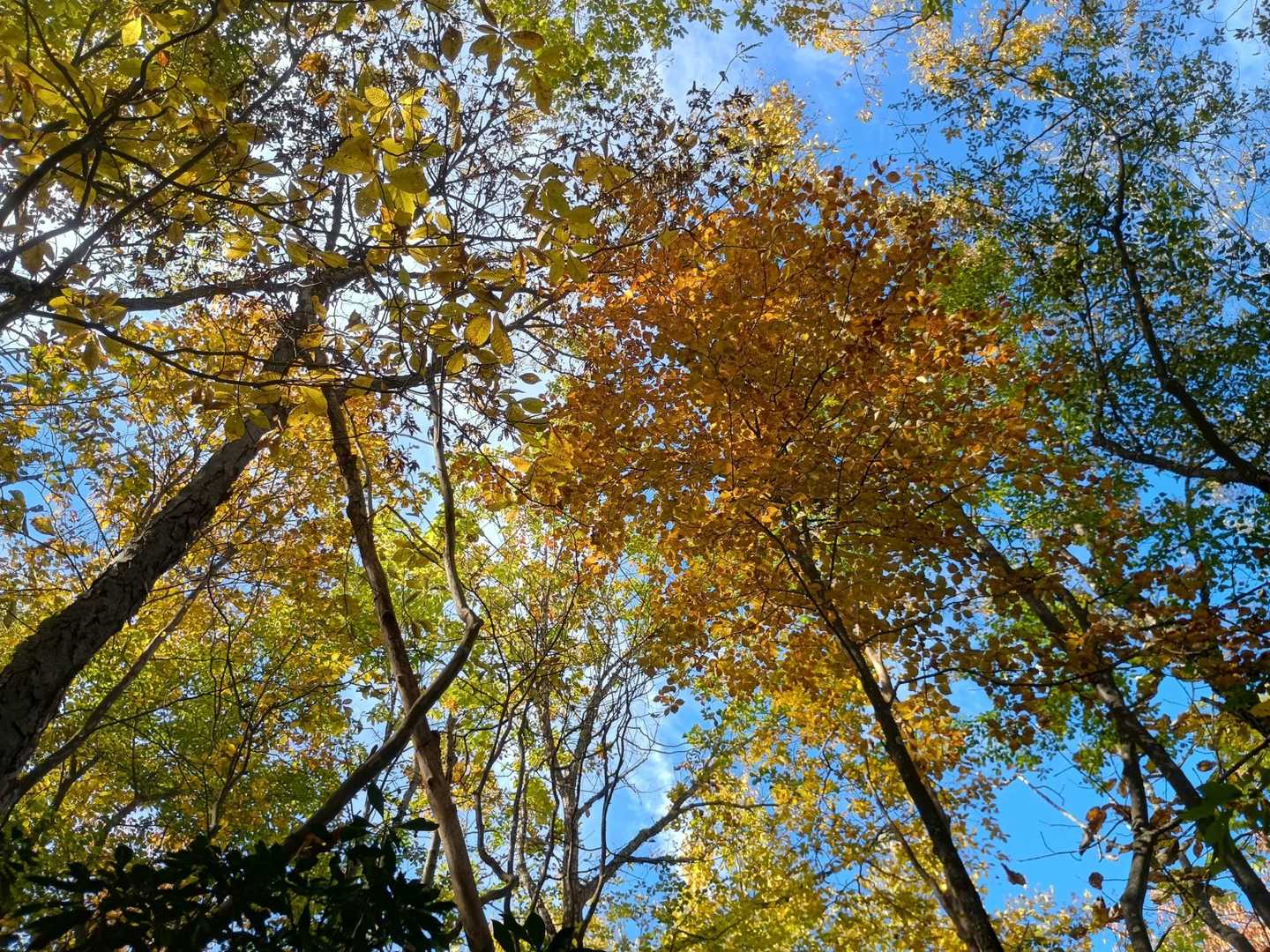 この尾根は来週は凄いかも！！