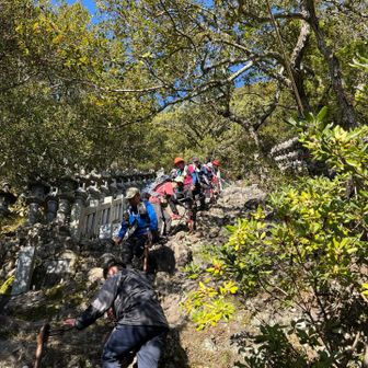 鎖も頼りに⛓️