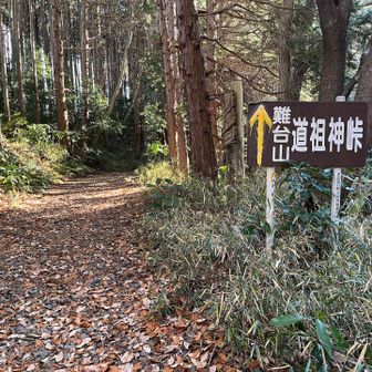 難台山に向かう