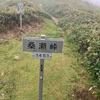 峠に出ても風は気になりませんでした。
最初だけですが。