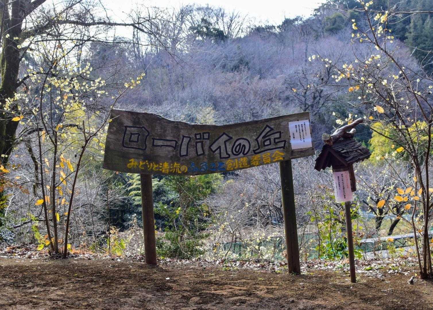 10分ほど歩けば、ローバイの丘