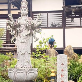 千手観音様と孔雀様