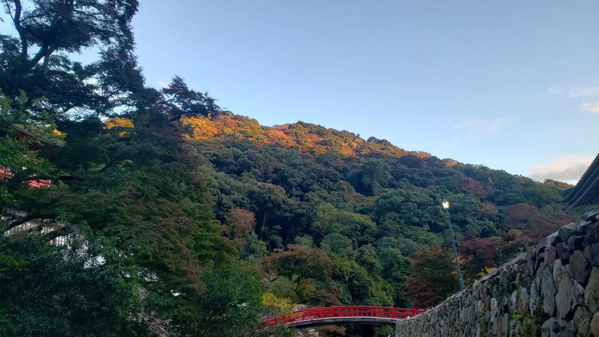 瀧安寺 周回コースの写真