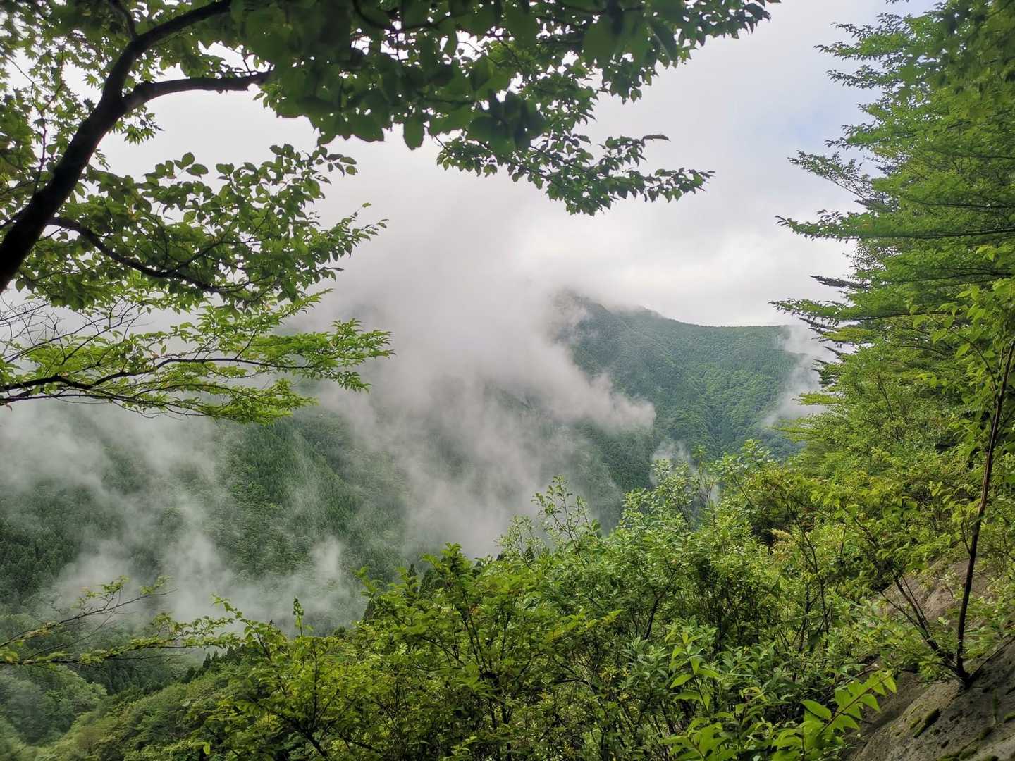メチャメチャ雲が流れてきます、、、、
