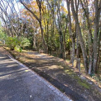 清水寺から大中寺までの東山道の入り口