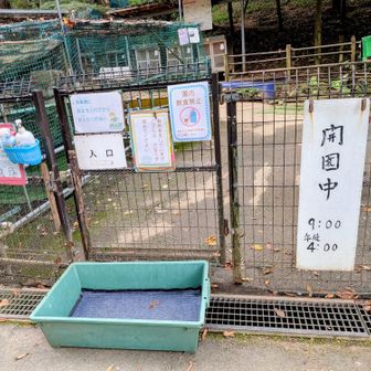 靴を消毒してから入場です👟