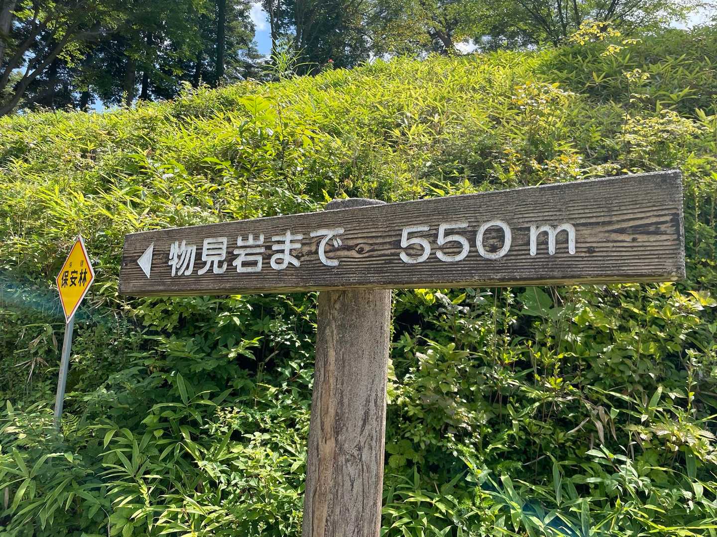 ﾋｶﾘ苔見つけれるかな〜ヾ(๑╹◡╹)ﾉ"