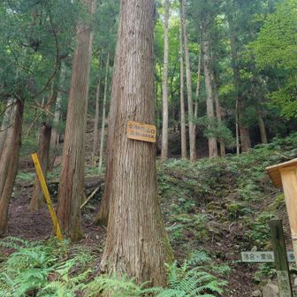 さてリベンジ行きます。