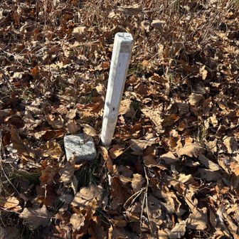 葛尾城主郭より一段下の
ニの郭辺りかな
四等三角点　点名　【葛尾】