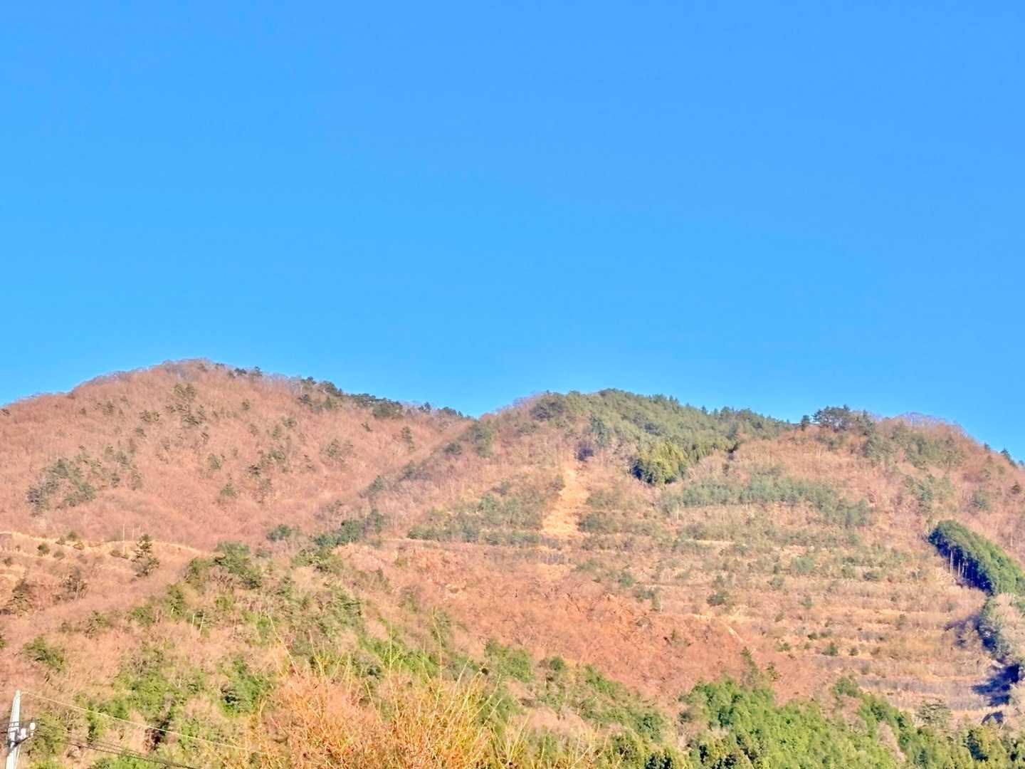 高川山
