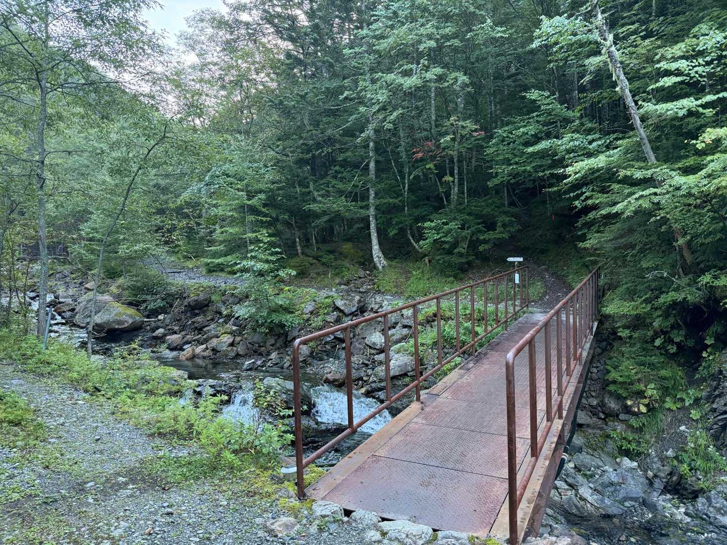 ここから登山道です