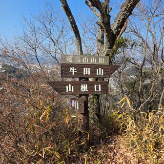 尾長山とうちゃこ