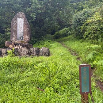東尾根登山口に下りてきた👣