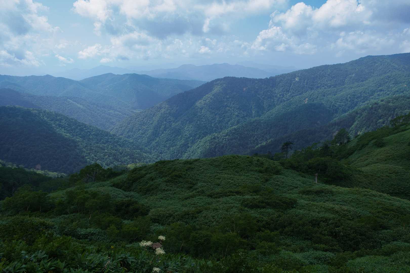 地蔵山-猟師の頭-白砂山-中尾根の頭-黒渋の頭-八間山 周回コースの写真