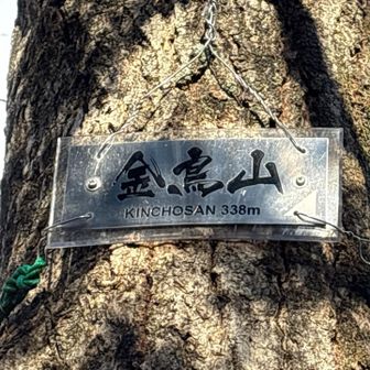 山頂へ到着しました⛰️