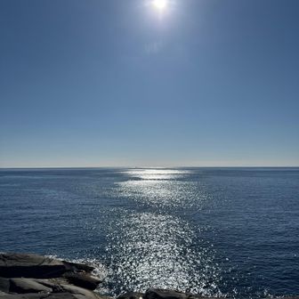 この時期はサンマを追ってキハダが回遊しているはず🤣