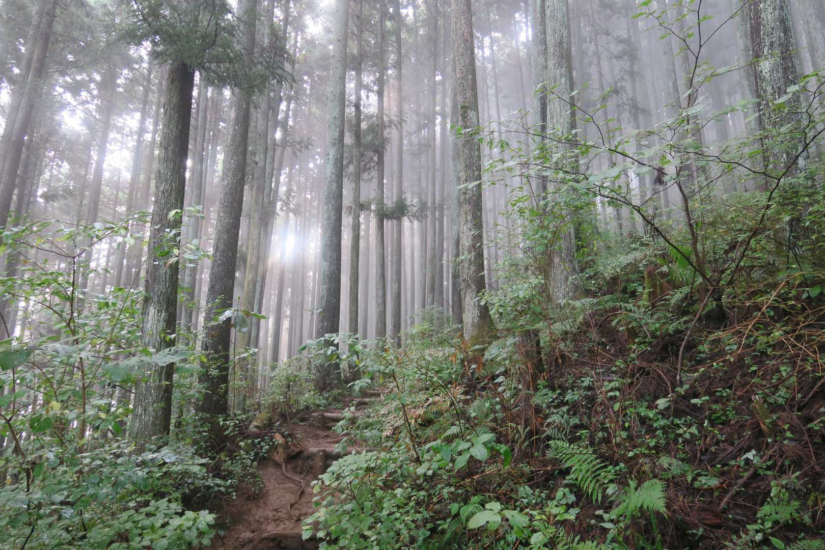 なかなか晴れ間が出ない