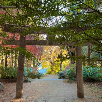 おつかれ山です