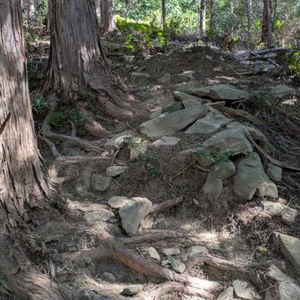 音羽富士への登り