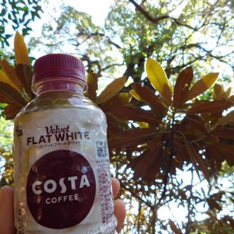 とりあえず 
なんだか疲れたので
石楠花の頭で  石楠花の葉を眺めながら    
早々と珈琲Time😋

コレ  お気に入り𖤐‎ ̖́-

もっと歩いてからにしろー!!
って 聞こえた気がする😁