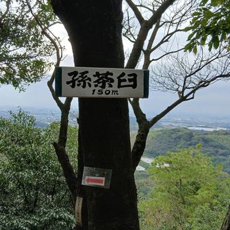 古ぼけた山標付いてた方が高かった気がするが、こっちまで来ないとピラミッド見れん。