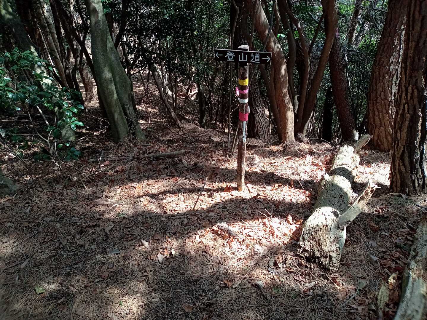 カラフルなテープ