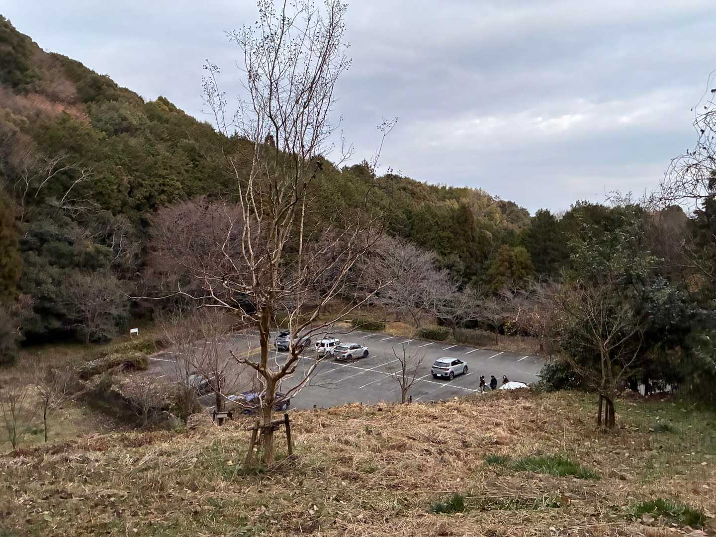 ポケットパーク戻りました