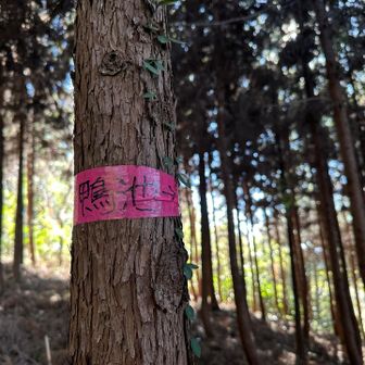 鴨池なる文字発見、行ってみよう