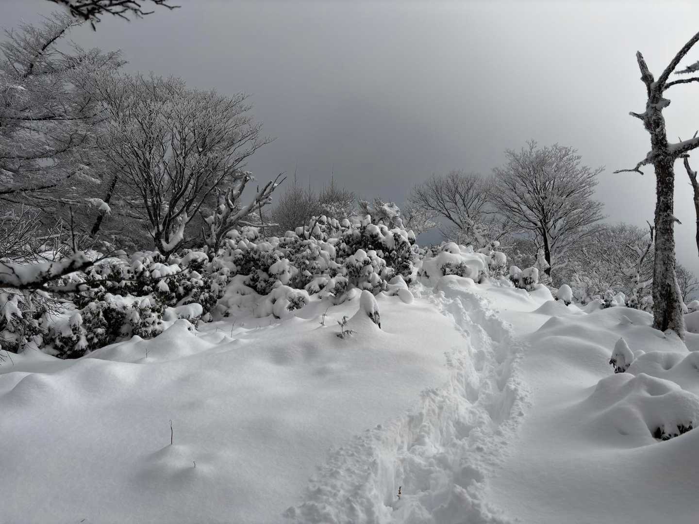 ここがYAMAPでは山頂🏔️
なにもないです
