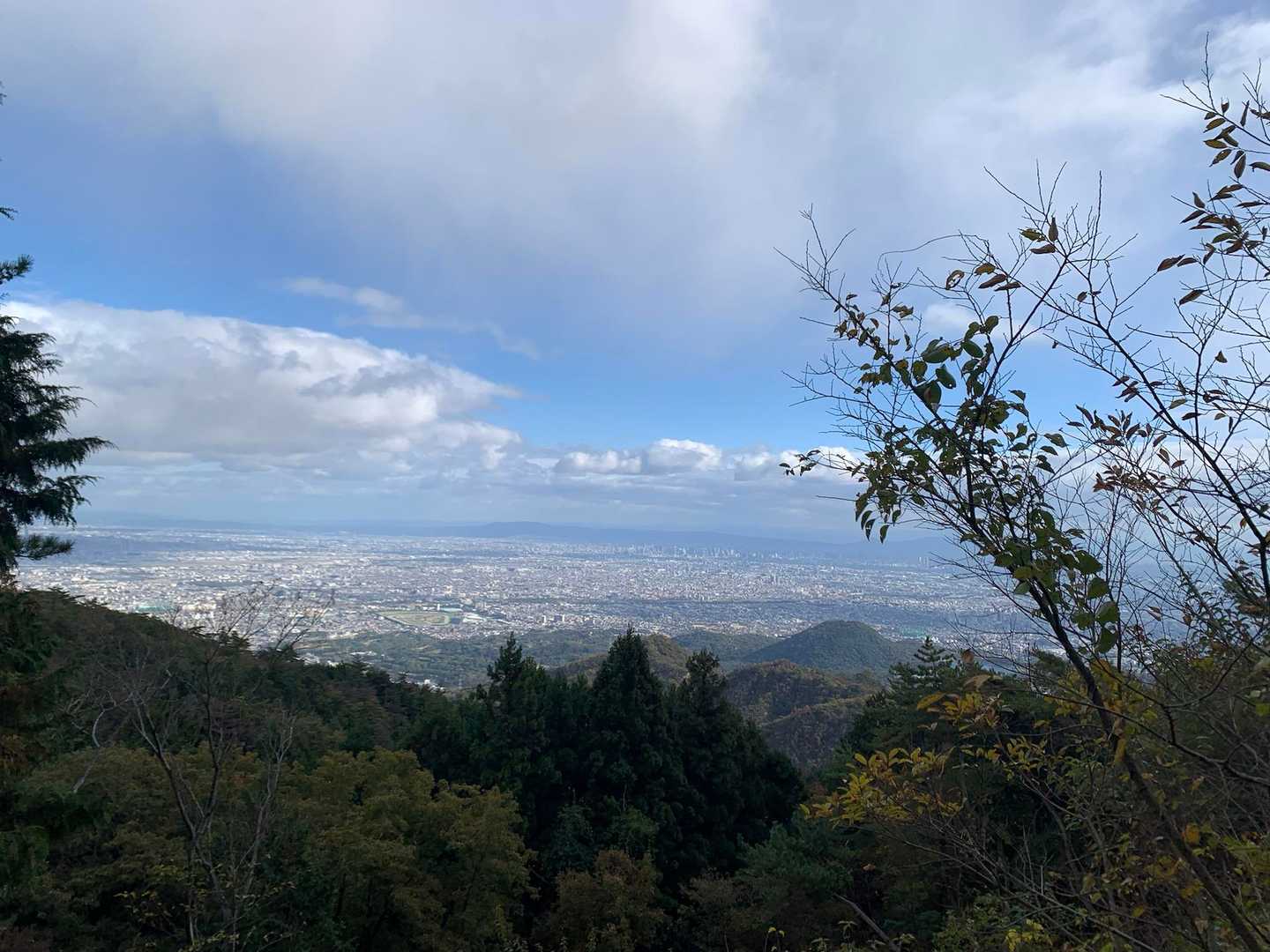 おおー
甲山が見えました
阪神競馬場も