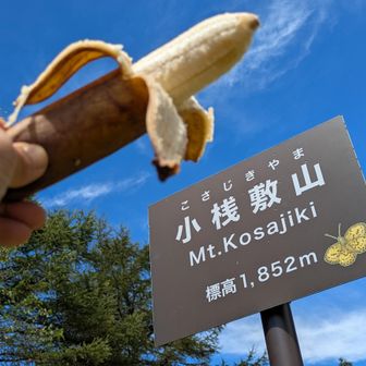 山頂でオヤツタイム🍌真っ青の空です🔵🔵🔵
独り占めでゆっくり