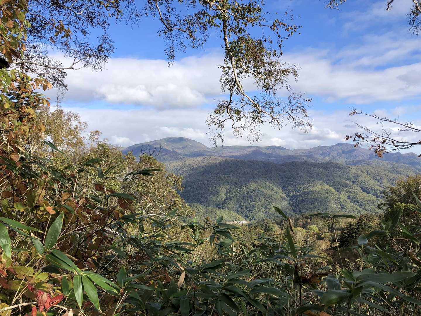 元山登山口-千尺高地-無意根山 往復コースの写真