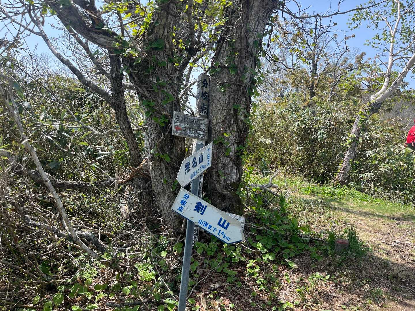 分岐
ここから音江山へ⛰️
