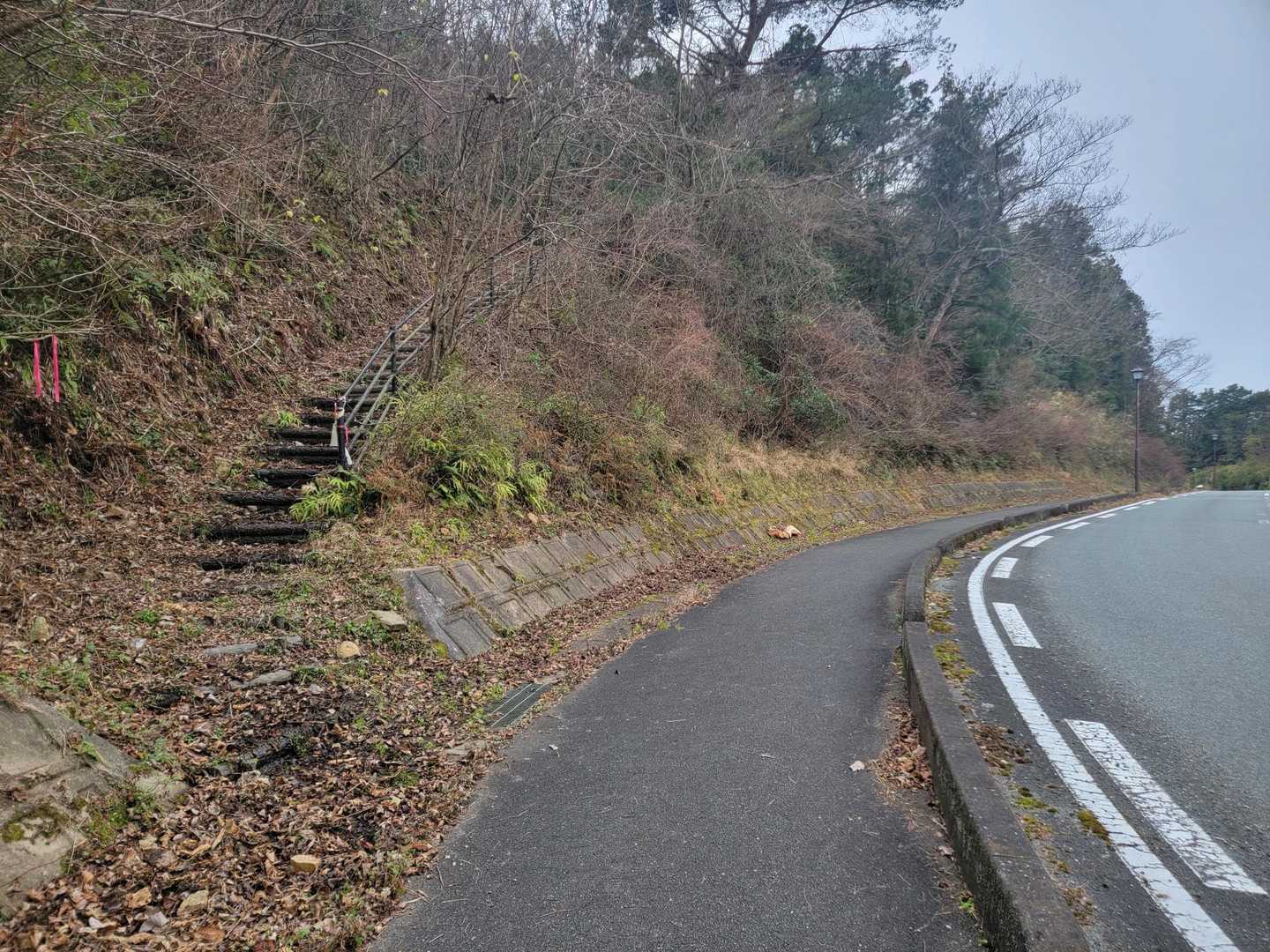 田床山 往復コースの写真