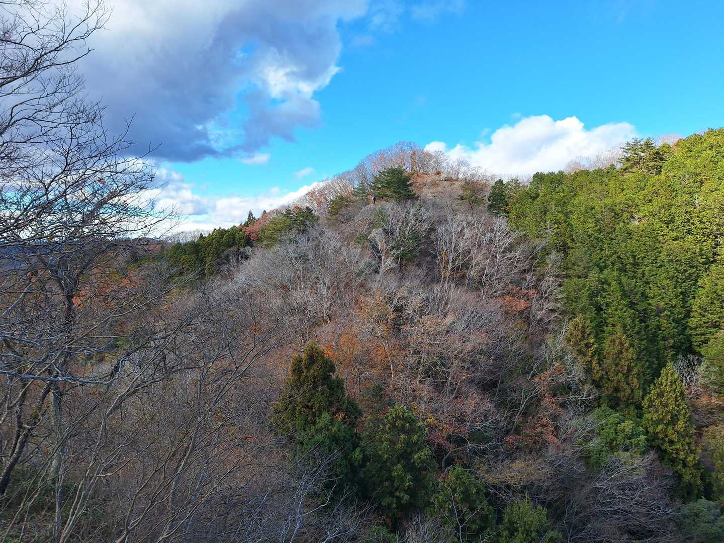山頂が見えます