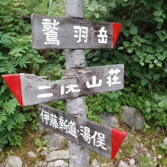 分岐